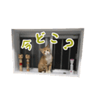愛猫すもも（個別スタンプ：3）