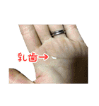愛猫すもも（個別スタンプ：13）