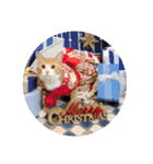 愛猫すもも（個別スタンプ：23）
