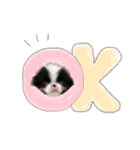 ぶさかわ犬❤️（個別スタンプ：2）