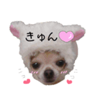 ぶさかわ犬❤️（個別スタンプ：14）