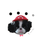 ぶさかわ犬❤️（個別スタンプ：15）
