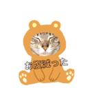 らむとふらわー（個別スタンプ：2）