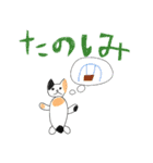 三毛猫ちゃんのデイリースタンプ（個別スタンプ：11）