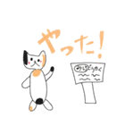 三毛猫ちゃんのデイリースタンプ（個別スタンプ：12）
