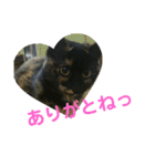 サビたんスタンプ（個別スタンプ：7）