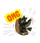 サビたんスタンプ（個別スタンプ：8）