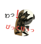 サビたんスタンプ（個別スタンプ：9）