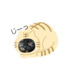 サビたんスタンプ（個別スタンプ：13）