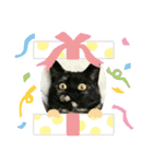 サビたんスタンプ（個別スタンプ：14）
