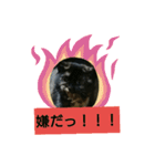 サビたんスタンプ（個別スタンプ：16）