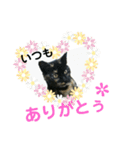 サビたんスタンプ（個別スタンプ：19）