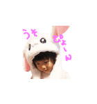 ののキッズ（個別スタンプ：5）