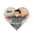 KAITOだよぉ（個別スタンプ：1）