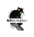 犬のてんてんスタンプ第2段（個別スタンプ：4）