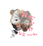 チータラさんと飼い主（個別スタンプ：5）