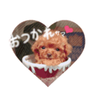 チータラさんと飼い主（個別スタンプ：8）