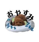 マイキー1（個別スタンプ：3）