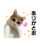 しずくさんと日常（個別スタンプ：2）