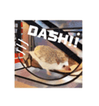 ハリネズミのカイとレイ（個別スタンプ：12）