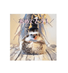 ハリネズミのカイとレイ（個別スタンプ：14）