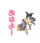 吾郎と士郎（個別スタンプ：1）