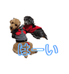 吾郎と士郎（個別スタンプ：2）