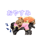 吾郎と士郎（個別スタンプ：3）