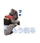 吾郎と士郎（個別スタンプ：11）