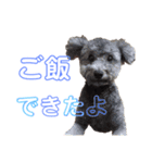 吾郎と士郎（個別スタンプ：13）