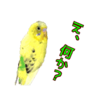 ピーちゃんのワクワクシリーズ（個別スタンプ：3）