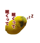 ピーちゃんのワクワクシリーズ（個別スタンプ：8）