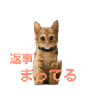 もちとむぎ（個別スタンプ：7）