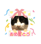 あおいちゃんFamily（個別スタンプ：6）