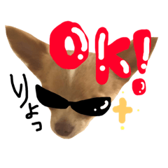 [LINEスタンプ] ちわわのきなこ-2