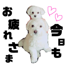 [LINEスタンプ] シェリベリ♡