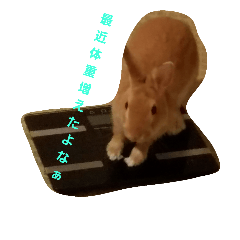 [LINEスタンプ] うさぎの所沢君その1