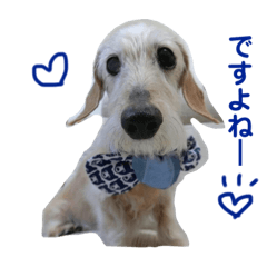 [LINEスタンプ] むうたん