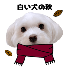 [LINEスタンプ] 白い犬の秋
