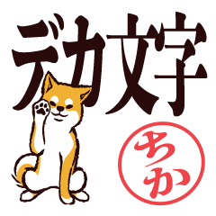 [LINEスタンプ] 柴犬ちか（デカ文字・敬語）