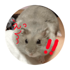 [LINEスタンプ] おみつ、喋る
