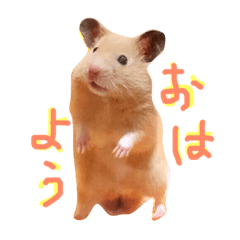 [LINEスタンプ] はむとむあげ①