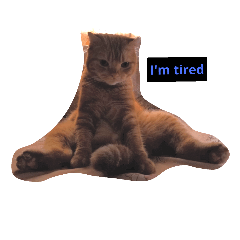 [LINEスタンプ] 猫がしゃべる