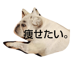 [LINEスタンプ] フレブルめるさんのネガティブスタンプ
