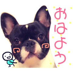[LINEスタンプ] フレンチブル日常