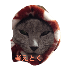 [LINEスタンプ] サリーさん