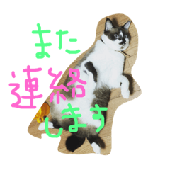 [LINEスタンプ] じぃじばぁばに使えるスタンプ