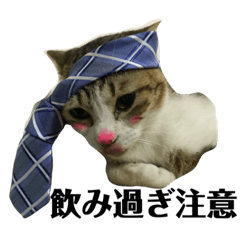 [LINEスタンプ] ココと仲間たち②