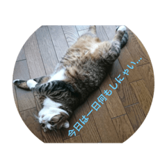 [LINEスタンプ] すずちゃんにょ