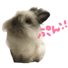 [LINEスタンプ] うさぎのふわりちゃん。